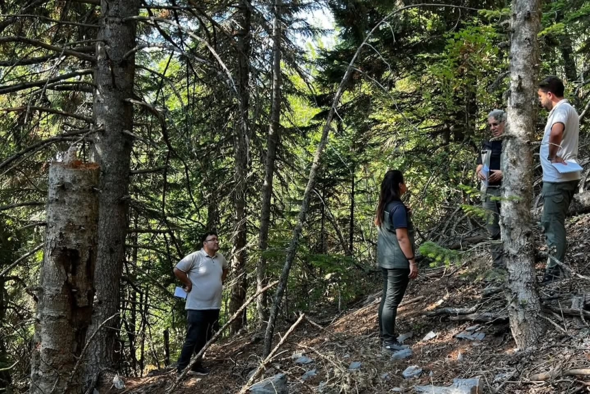 86Dd7846 Da04 467B Ab47 Eeb208876Fe5