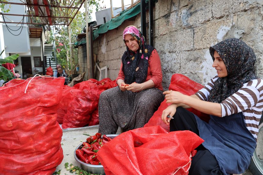 Geleneksel Salça Mesaisi Biberin Lezzet Yolculuğu 5