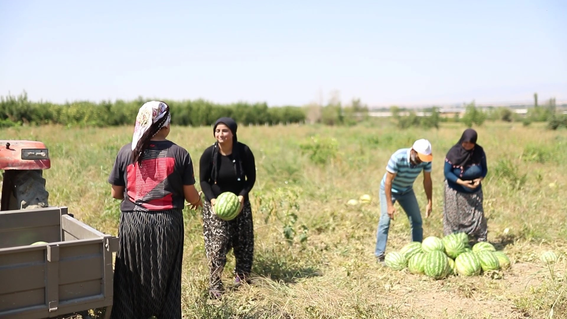Amasyalı Genç Çiftçi Esra Pazar Tezgahında Hayallerini Büyütüyor (4)