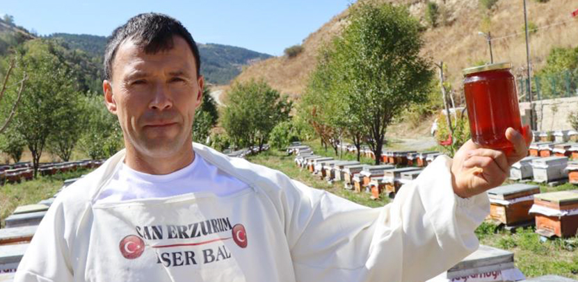 Arılarına Yazı Yazdırdı1