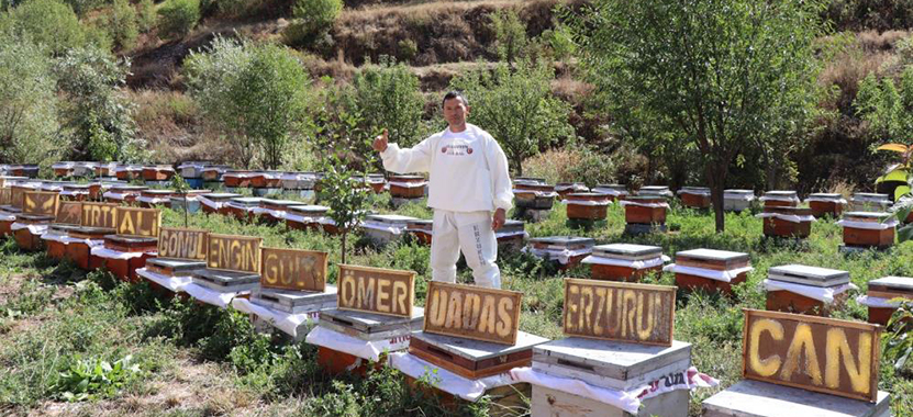 Arılarına Yazı Yazdırdı2