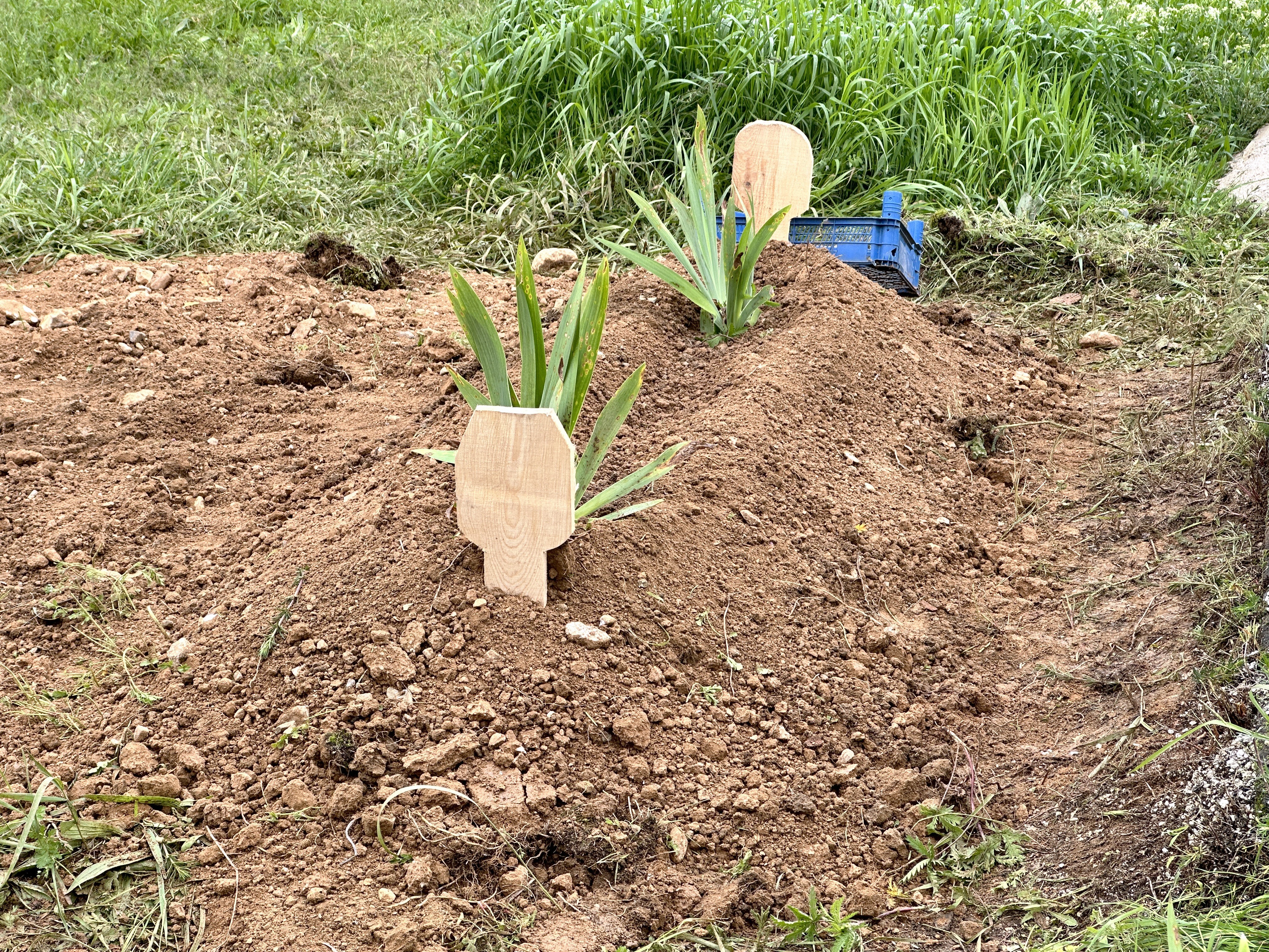 KASTAMONU'DA KAN DONDURAN OLAY