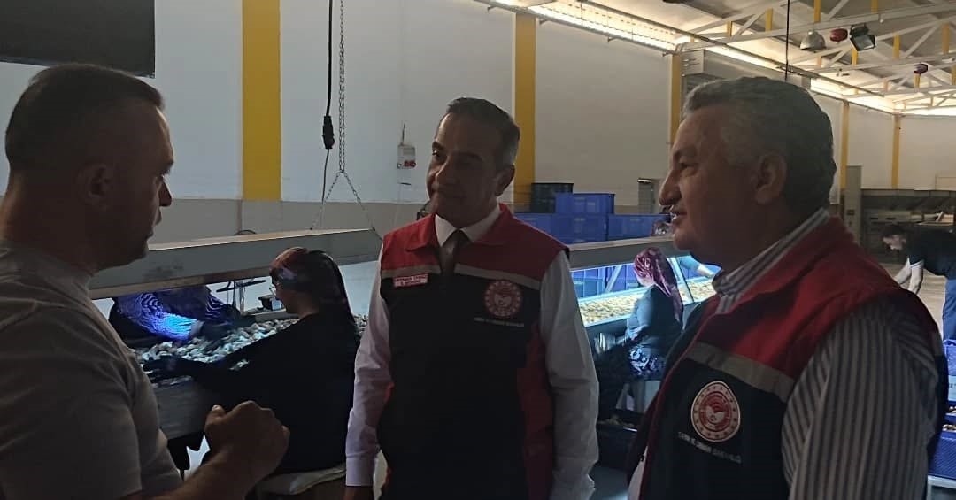 Aydın İnciri İçin Denetimler Sıklaştırıldı (3)