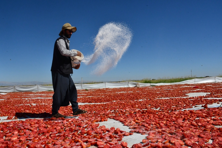 Dünya Sofralarını Süsleyecek-1