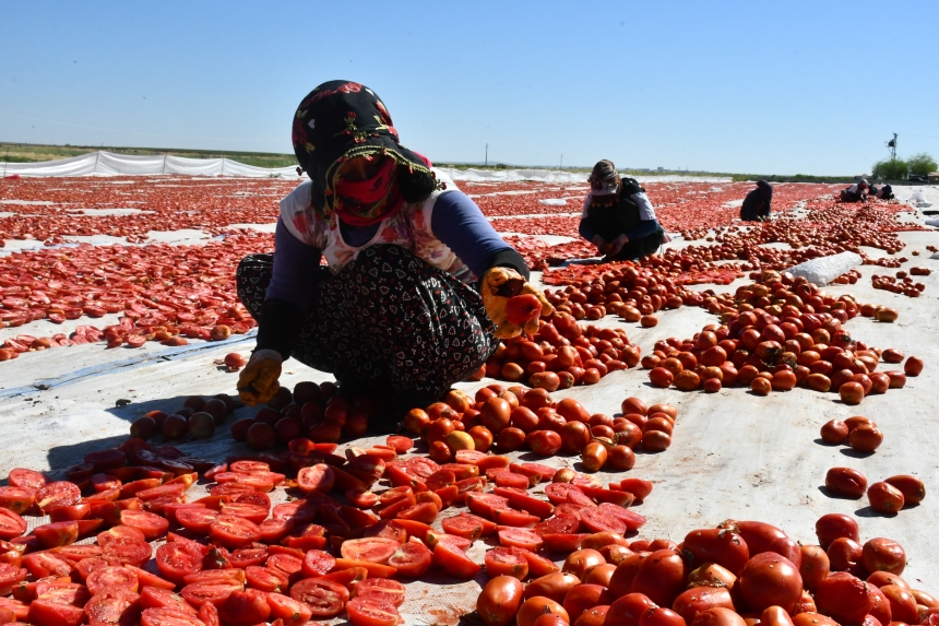 Dünya Sofralarını Süsleyecekk
