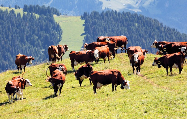 Ekran Görüntüsü 2025 09 17 222559