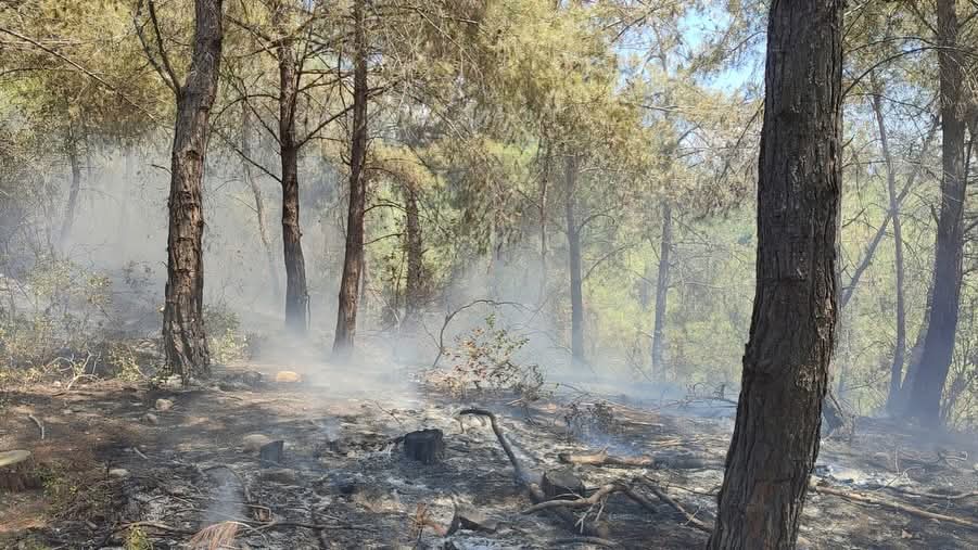 F B I M G 1757419497035