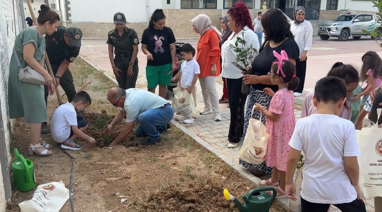 I M G 20250901 W A0046