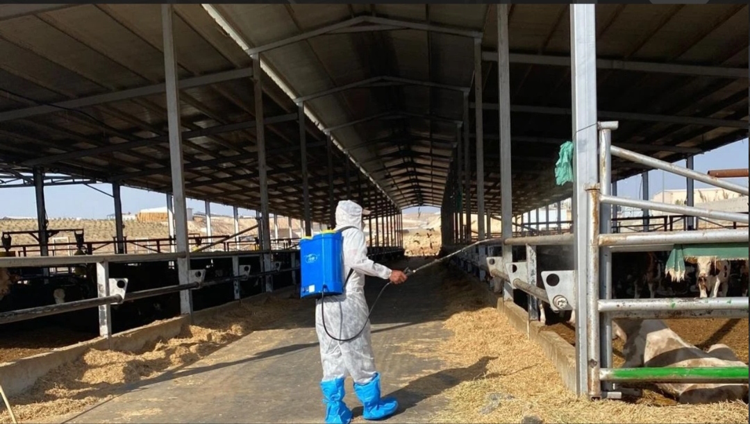 I M G 20250905 140108