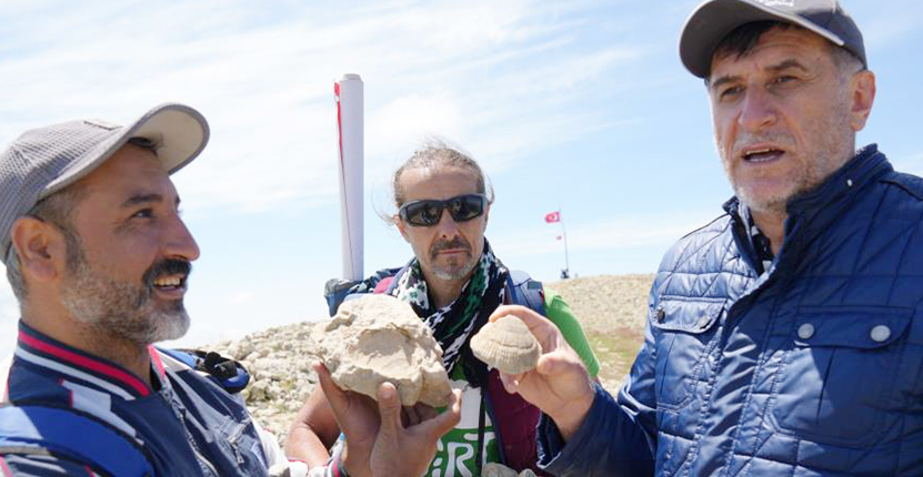 Ilgaz Dağında Deniz Fosili Bulundu1