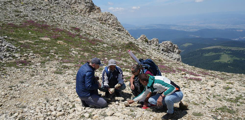 Ilgaz Dağında Deniz Fosili Bulundu2