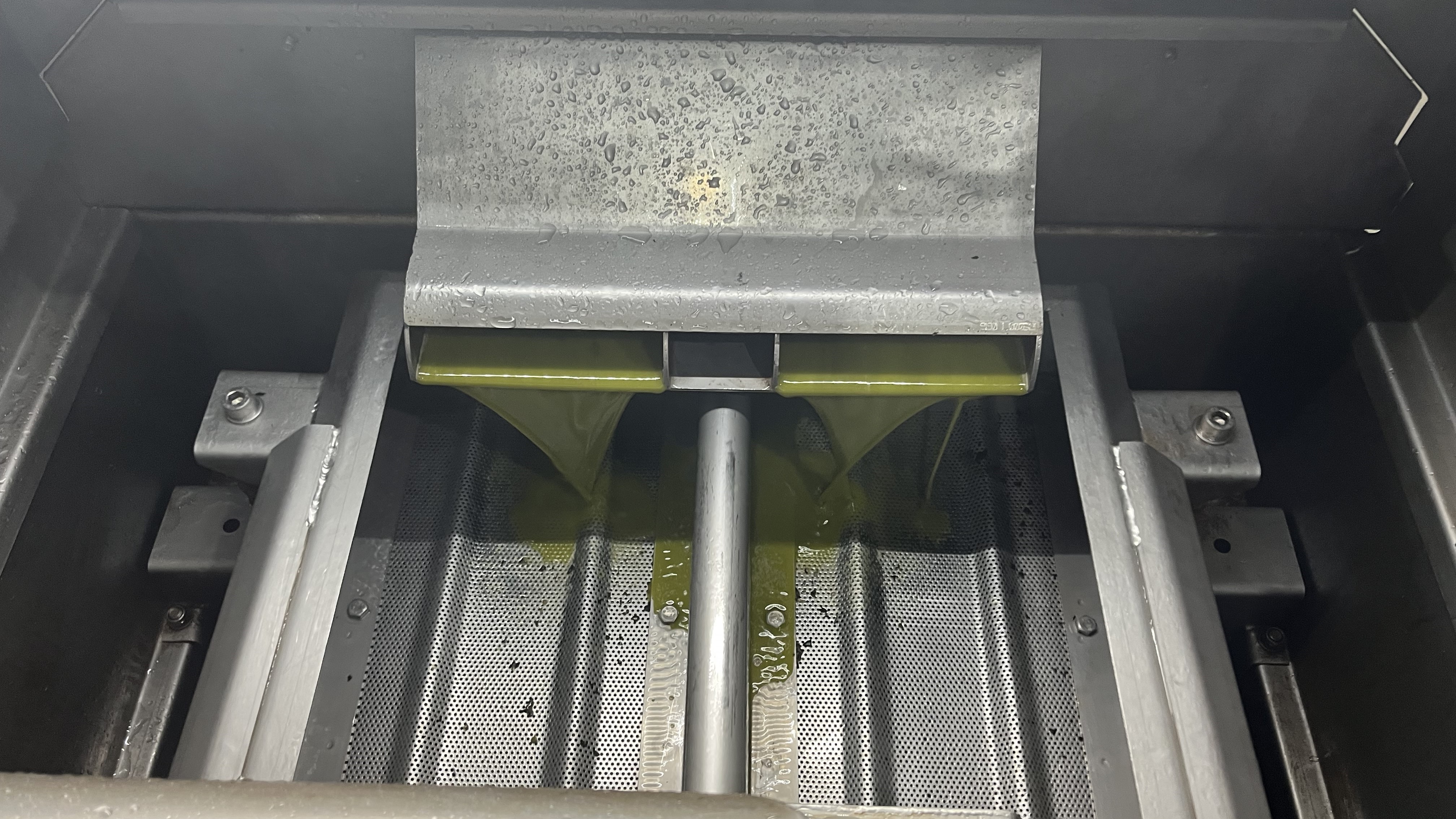 İlk Zeytinyağı Sıkımı İznik’te Başladı; Avrupa’ya İhraç (2)