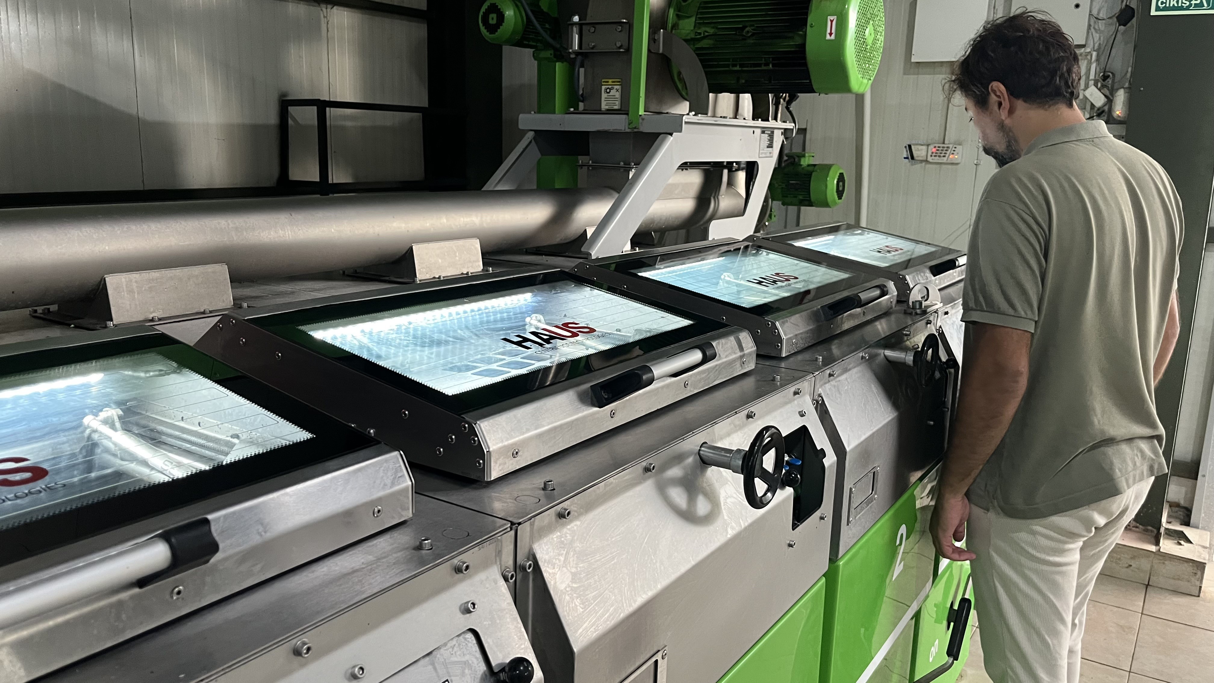 İlk Zeytinyağı Sıkımı İznik’te Başladı; Avrupa’ya İhraç (4)