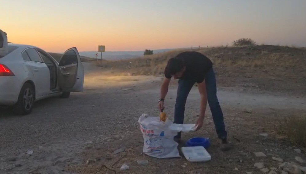 İnşaat Ustası'ndan Sokak Hayvanlarına Örnek Davranış (2)