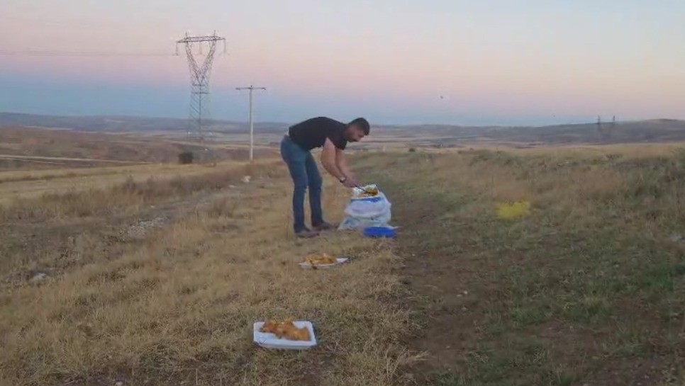 İnşaat Ustası'ndan Sokak Hayvanlarına Örnek Davranış (3)