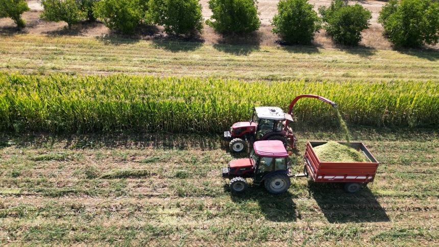 Isparta’da Silajlık Mısır Hasadı Başladı (1)