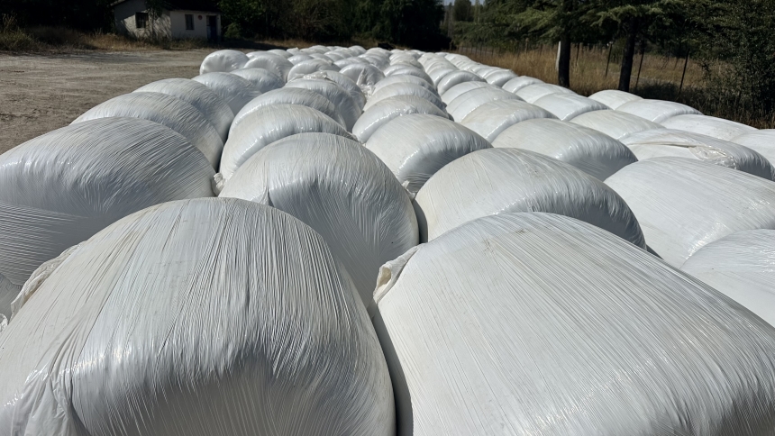 Isparta’da Silajlık Mısır Hasadı Başladı (2)