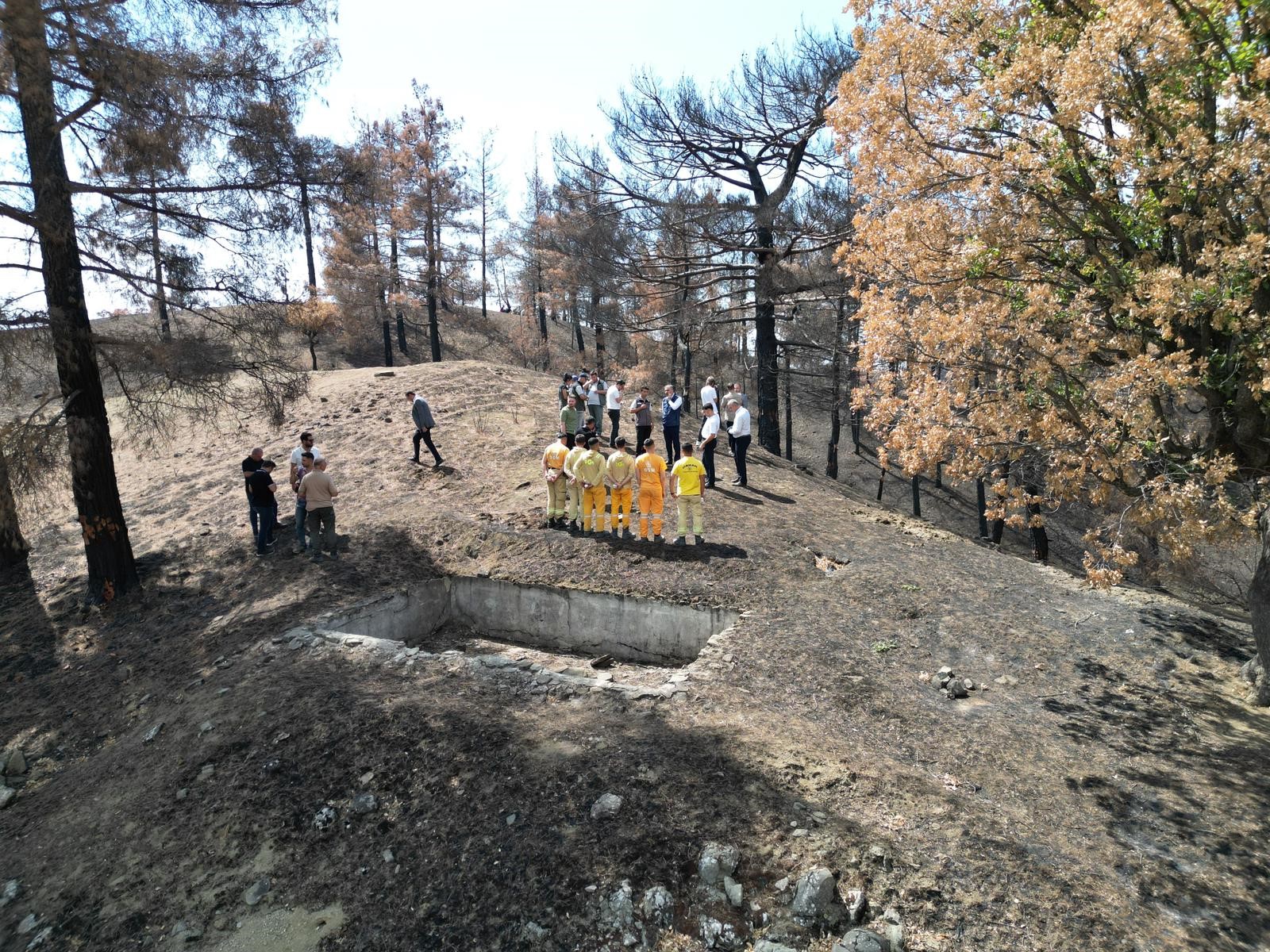 Kahramanmaraş'ta Yanan Ormanlar Yeniden Ağaçlandırılacak (1)