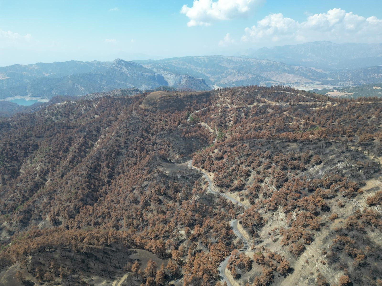 Kahramanmaraş'ta Yanan Ormanlar Yeniden Ağaçlandırılacak (3)