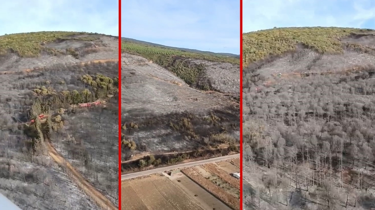 Bursa’da yanan ormandan geriye kalanlar