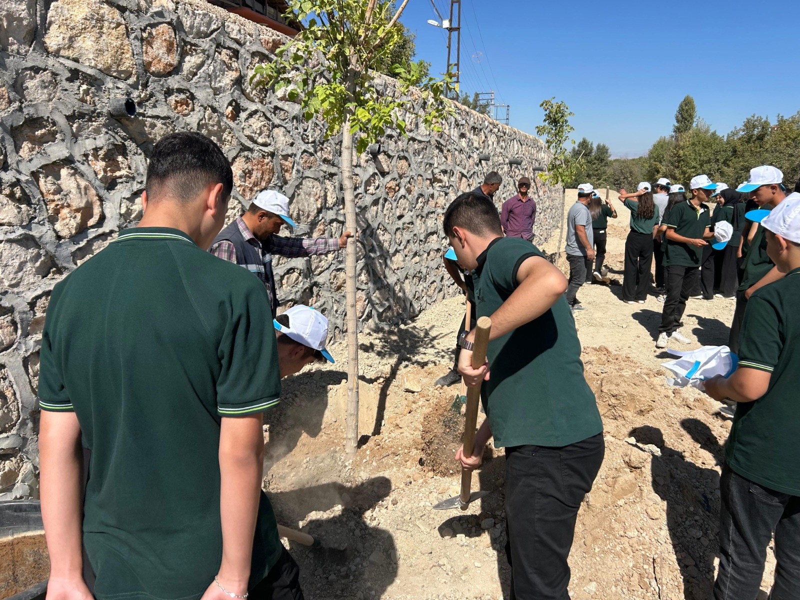 Malatya Battalgazi Belediyesi'nden Fethe Özel Bin 101 Fidan (1)