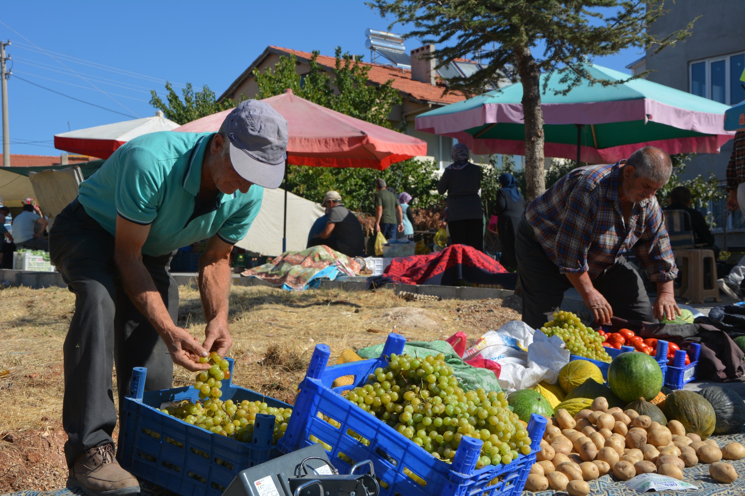 Manisa Demirci’de İlk Kez Semt Pazarı Kuruldu (2)