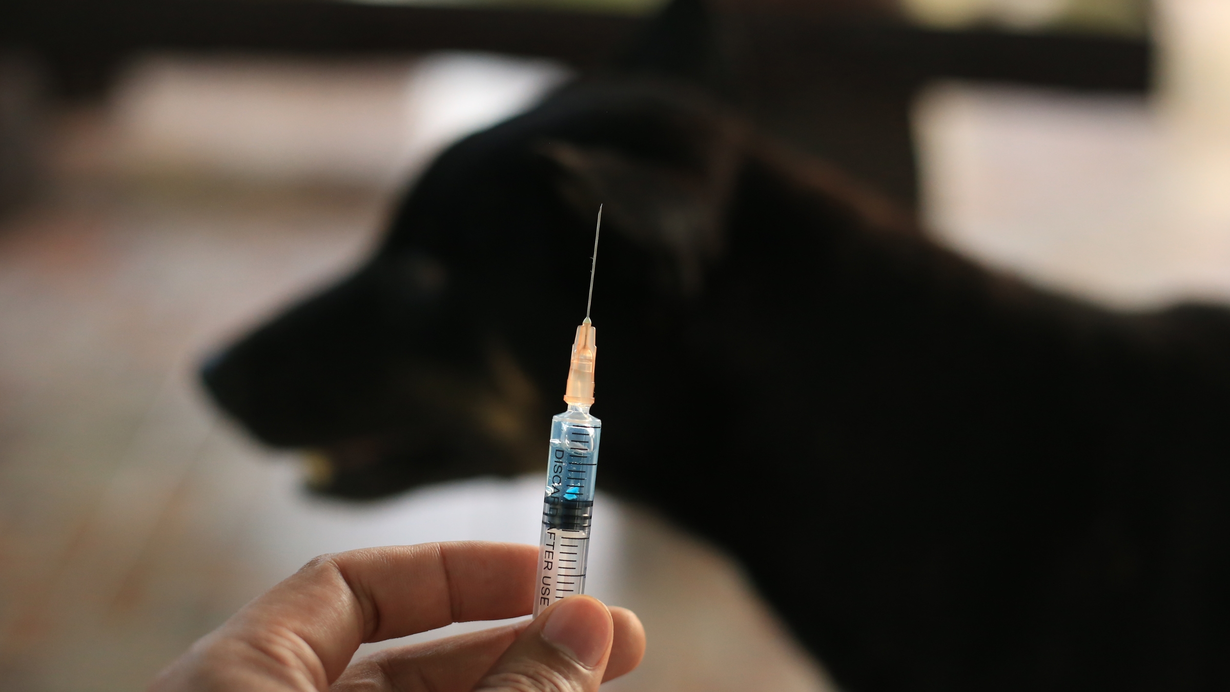 Manset Tasarim 20250928 145803 0000