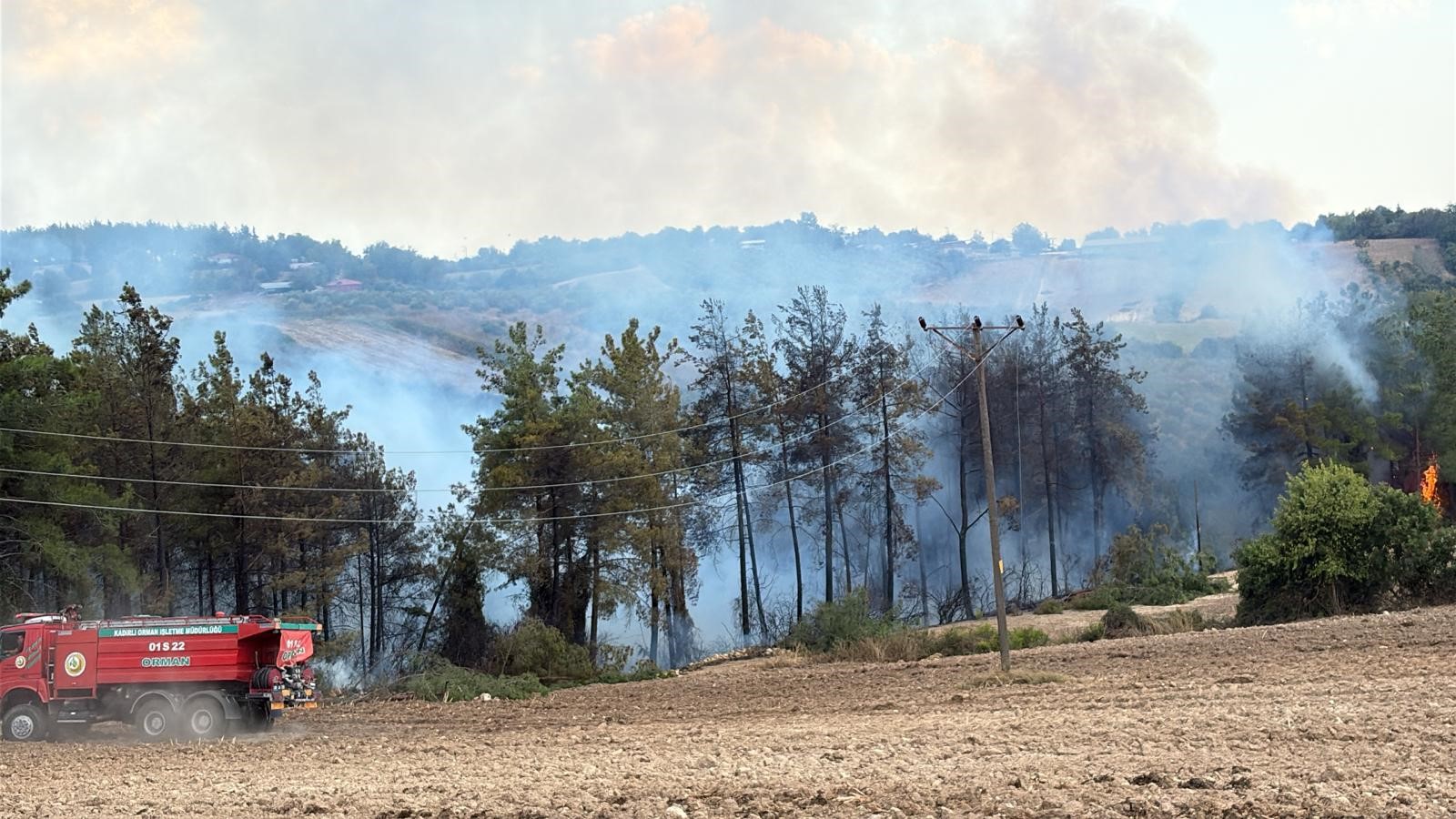 Osmaniye Sumbas'ta Orman Yangını; Müdahale Ediliyor (1)