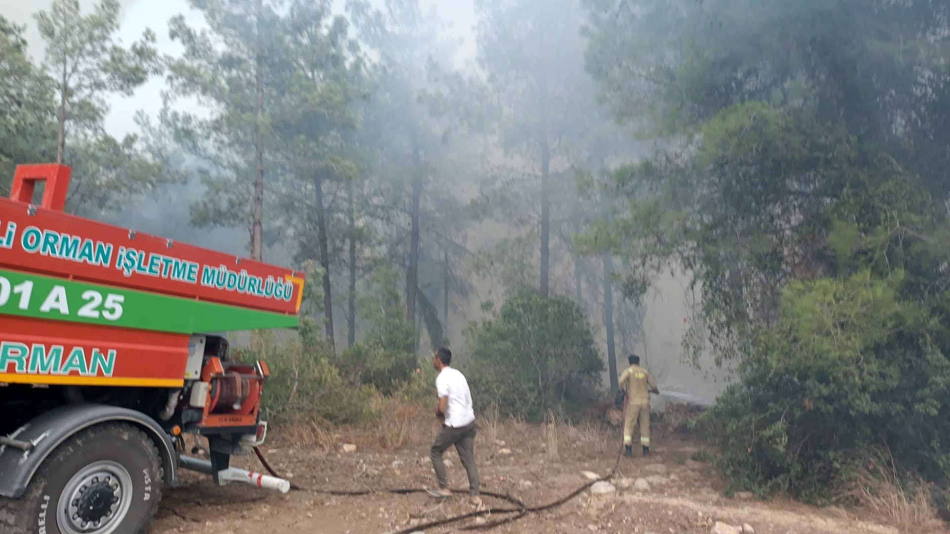 Osmaniye Sumbas'ta Orman Yangını; Müdahale Ediliyor (3)