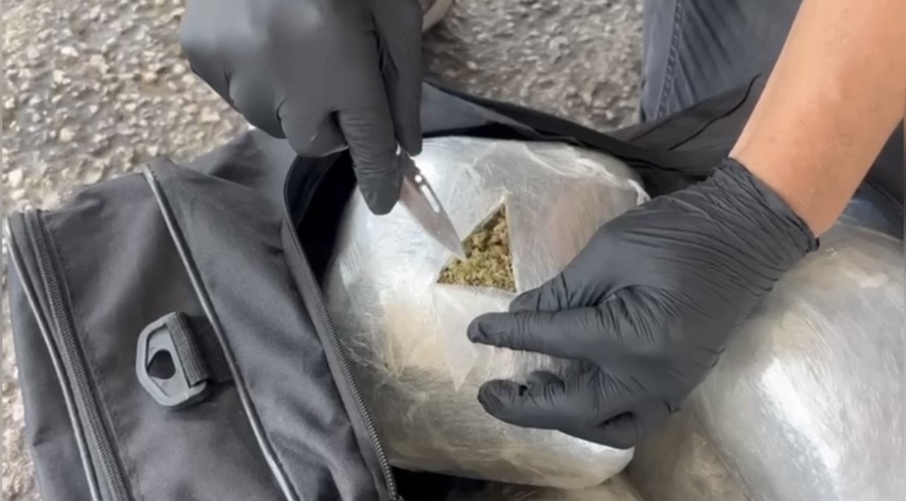 Osmaniye'de Operasyon; 12 Kilogram Skunk Ele Geçirildi (2)