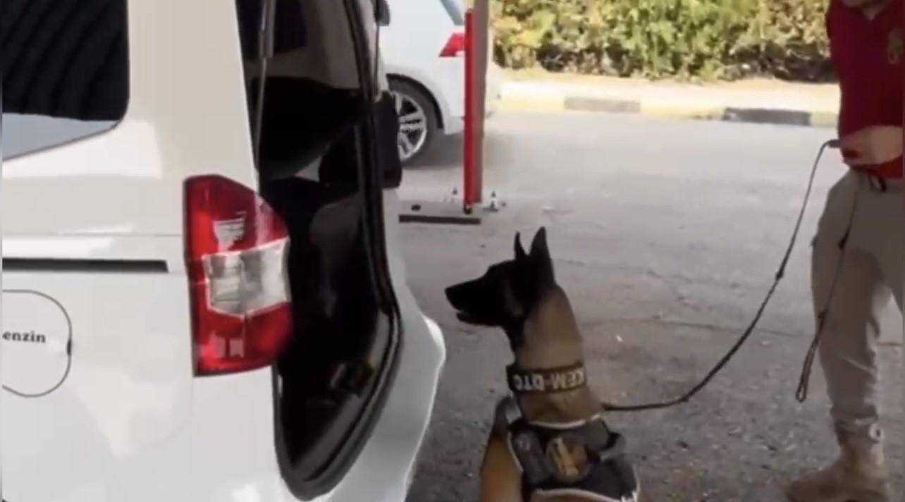 Osmaniye'de Operasyon; 12 Kilogram Skunk Ele Geçirildi (3)