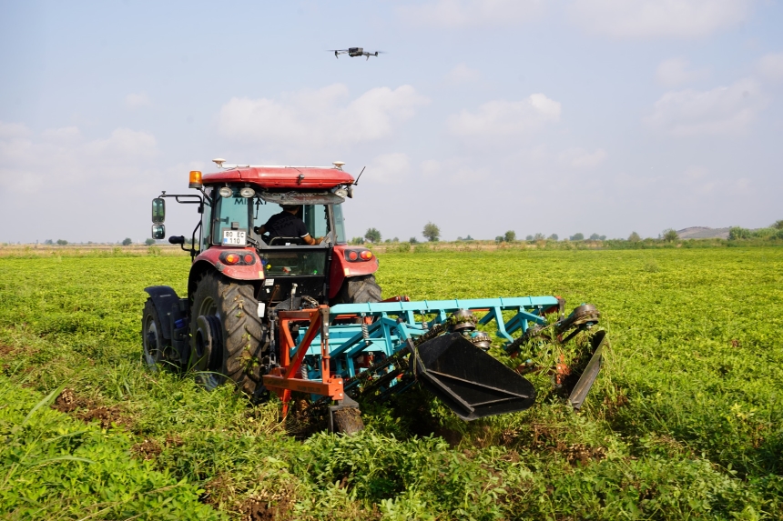 Osmaniye’de Yerfıstığı Hasat Töreni Rekolte Yüzleri Güldürüyor (3)
