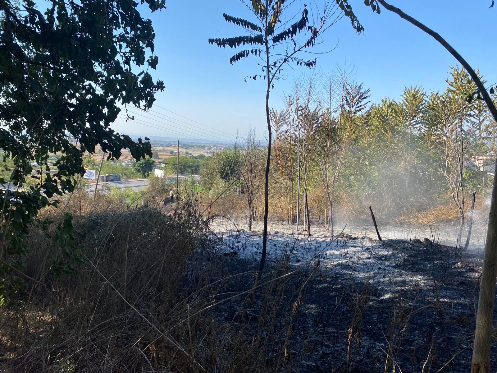 Osmaniye’de Zeytin Bahçesinde Yangın Paniği (1)