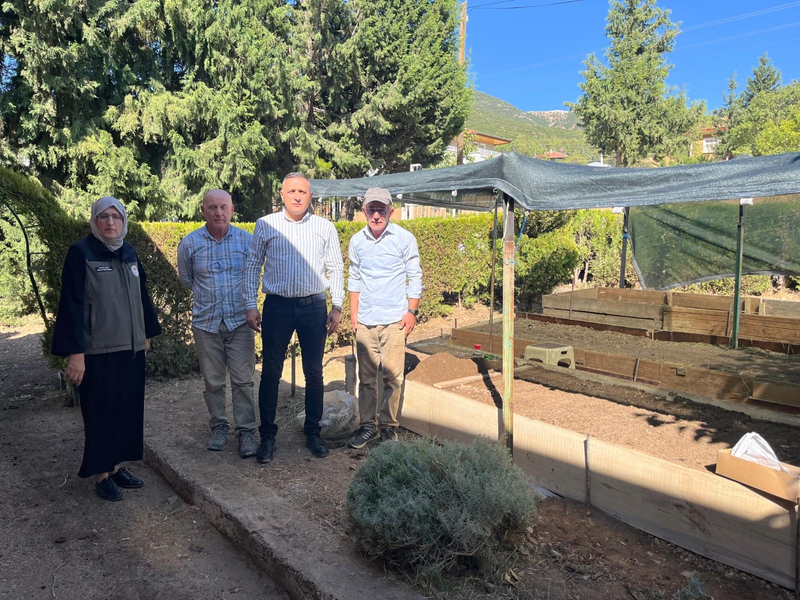 Salep Yetiştiriciliği (1)