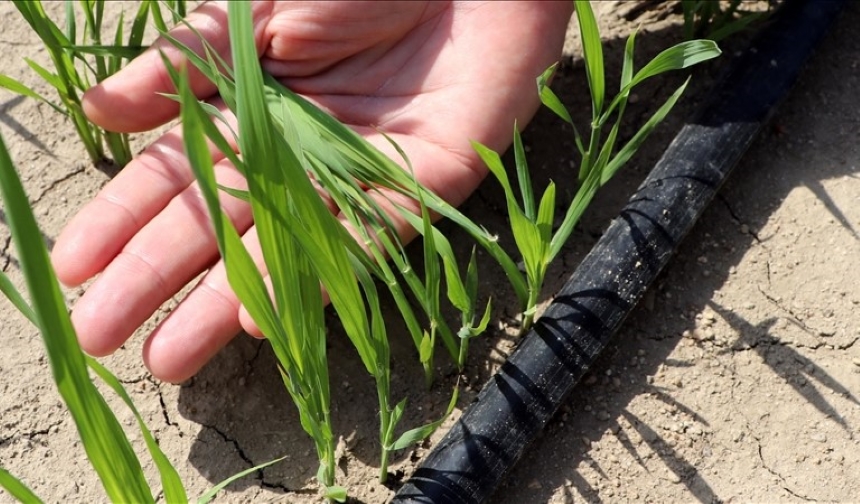 Su Tasarrufu Ve Verim Artışı Sağlandıi