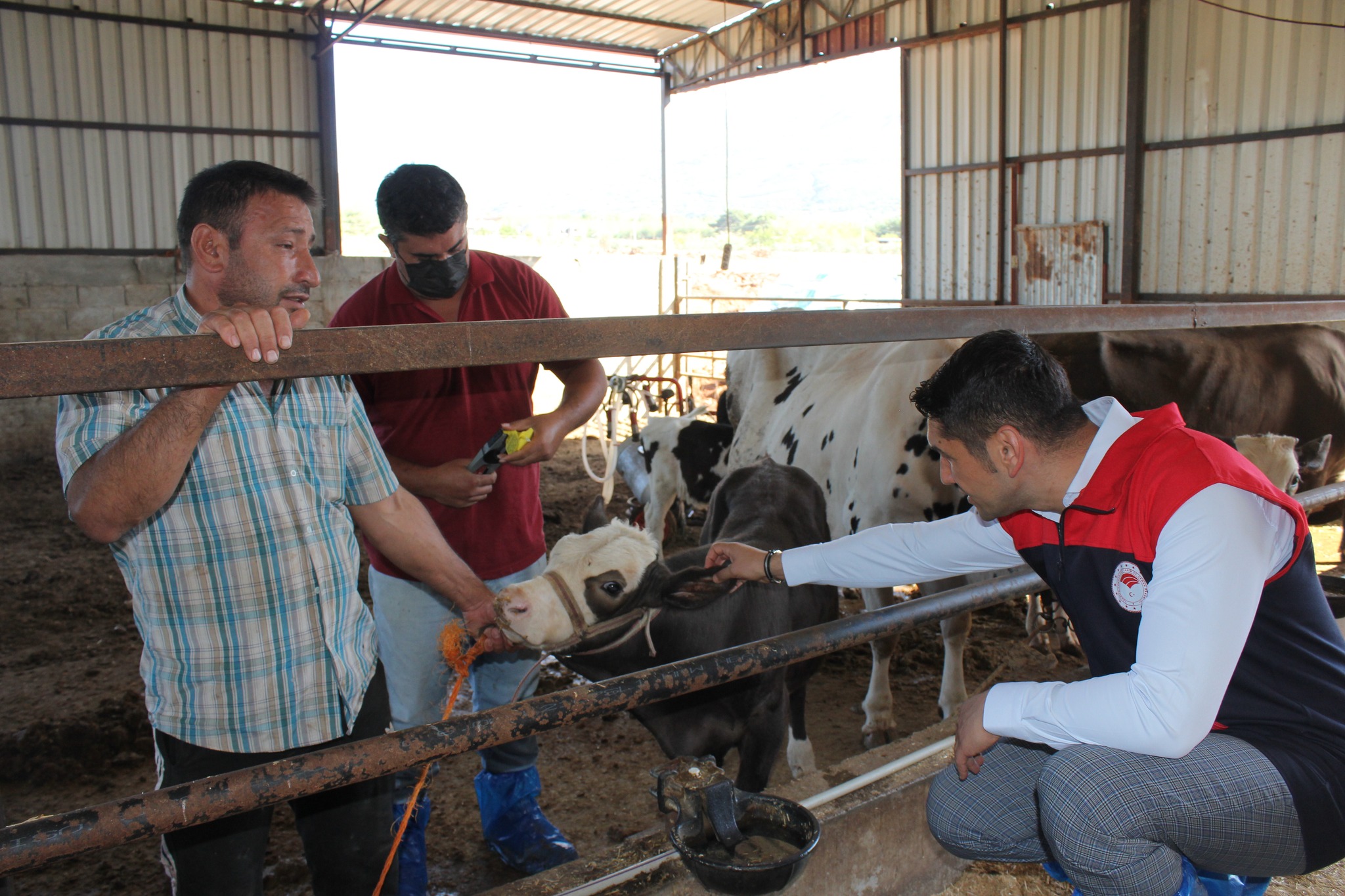 557640734 1251939523402413 4893435445474647456 N