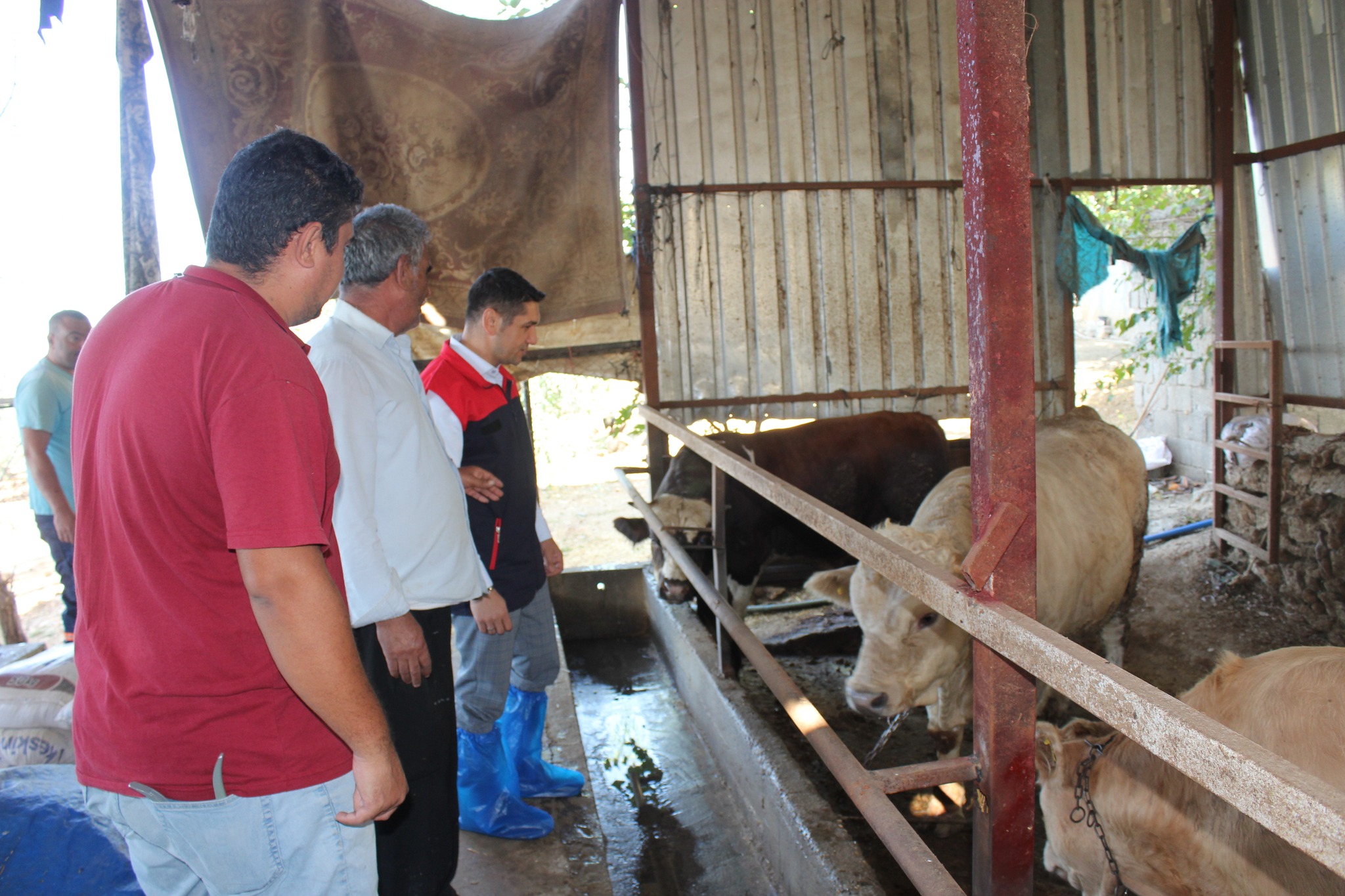 558049866 1251938130069219 7526845736624789405 N