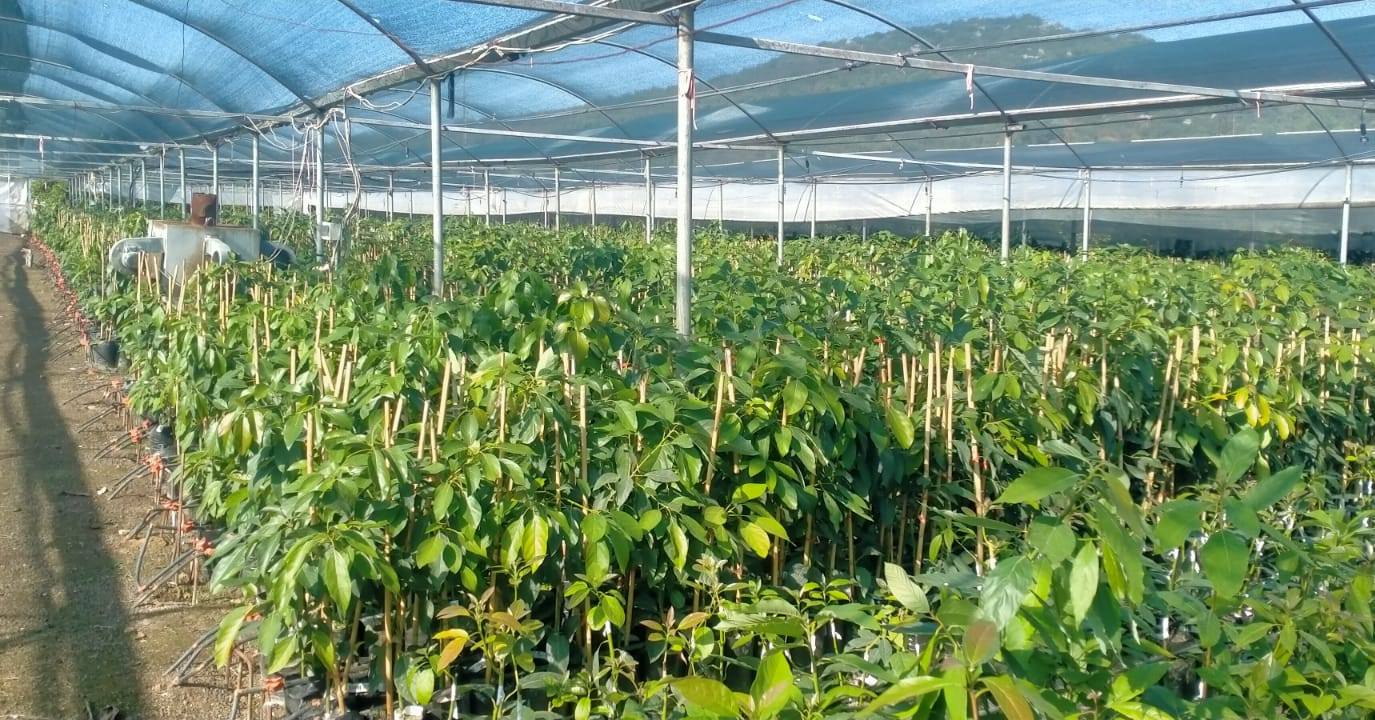 562264311 1111570304483936 6214386550589214655 N