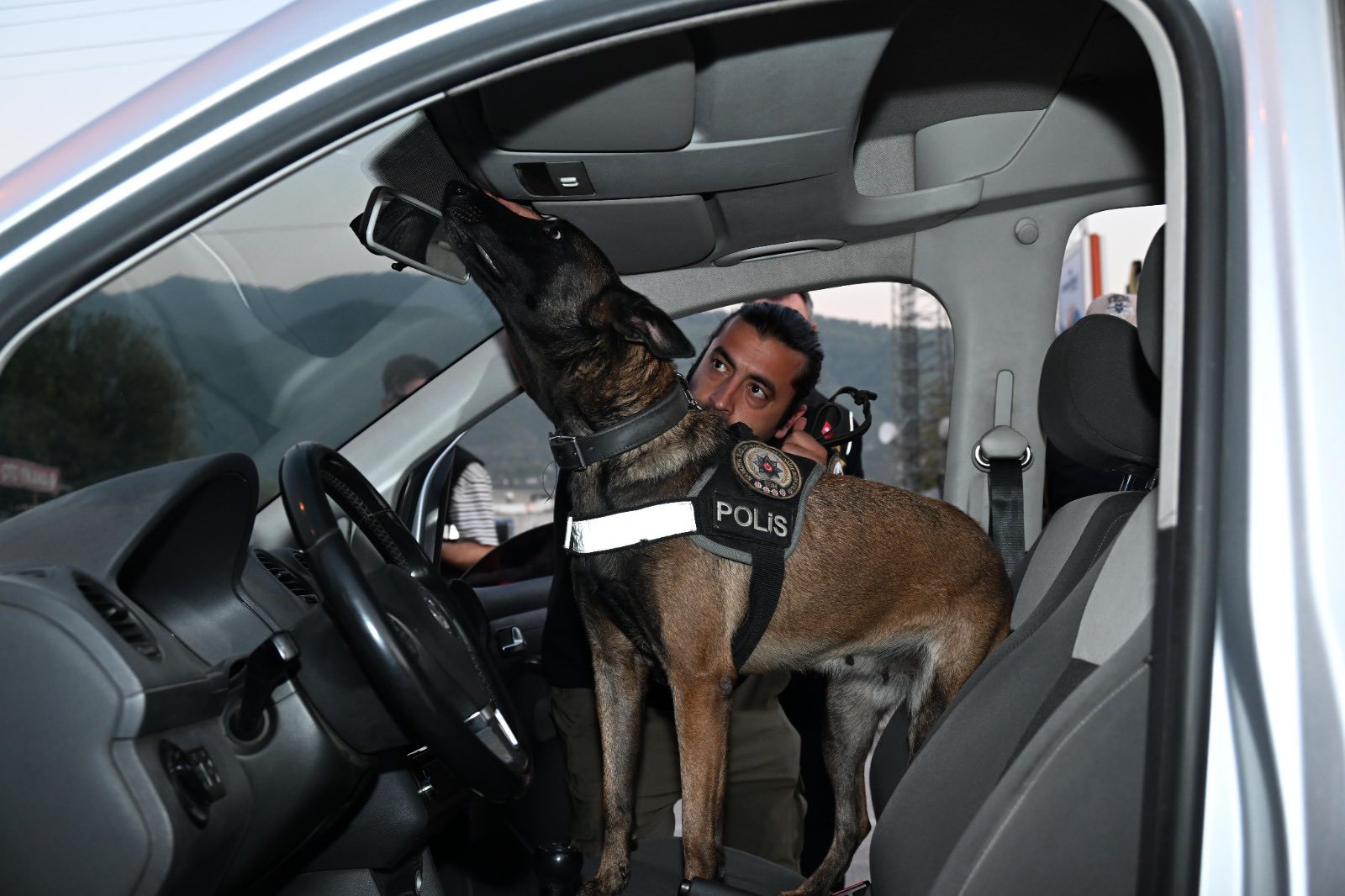 565073252 1240152671486979 5225957345644683213 N-1