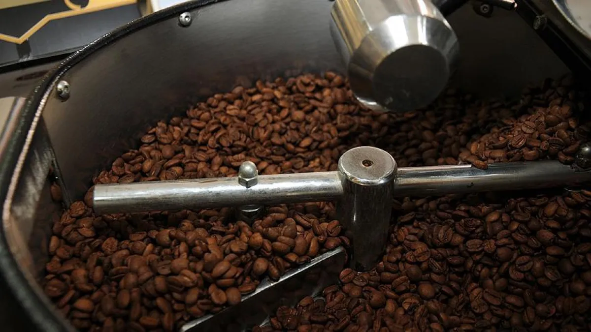 Aşırı Kahve Tüketimi (4)