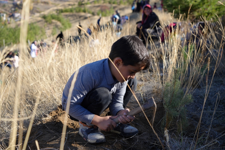 Bayburtlu Öğrencilerden Yeşil Vatan İçin 150 Çam Fidanı (3)