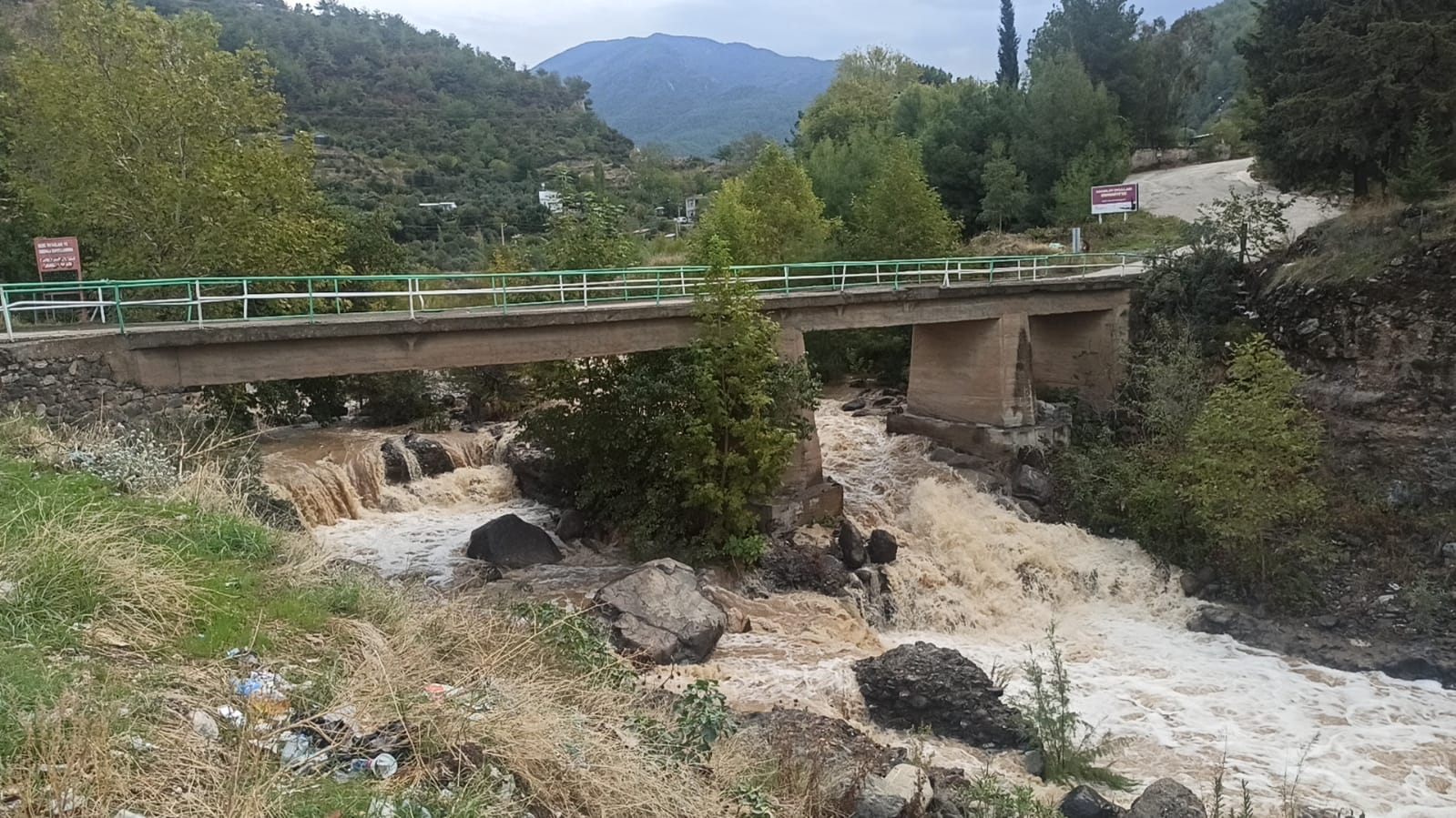 I M G 20251021 W A0033