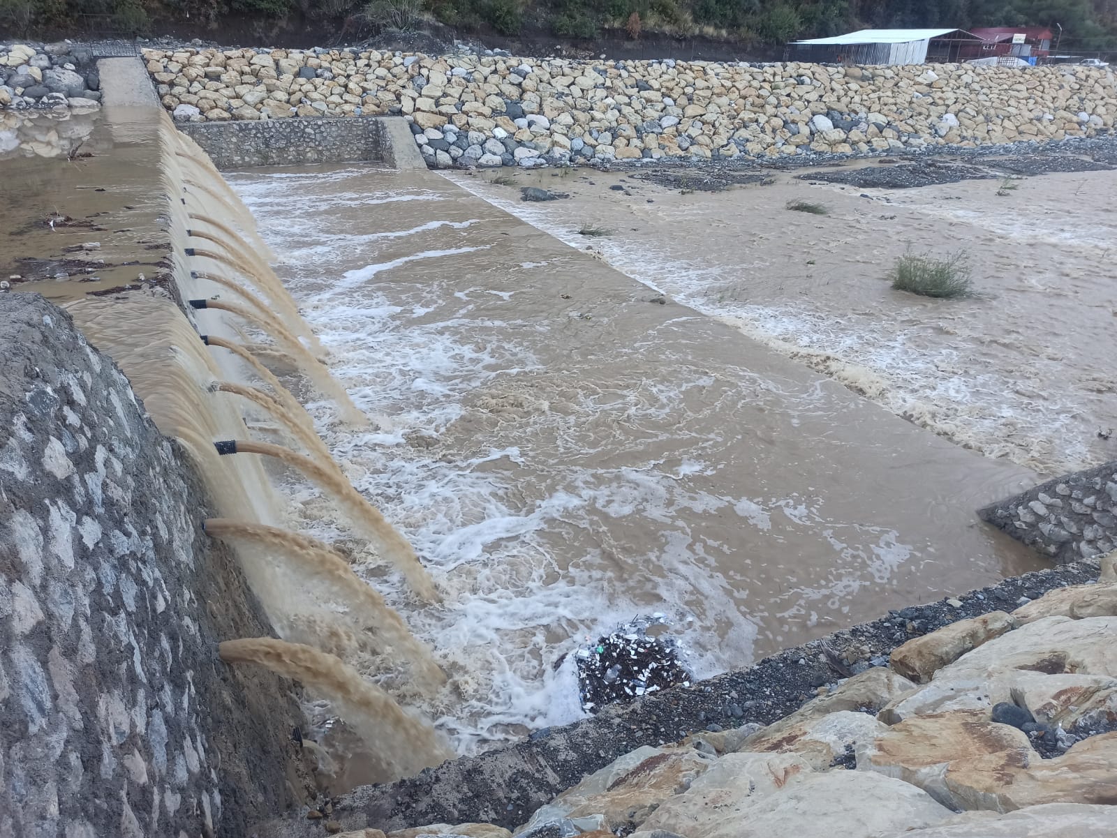 I M G 20251021 W A0042