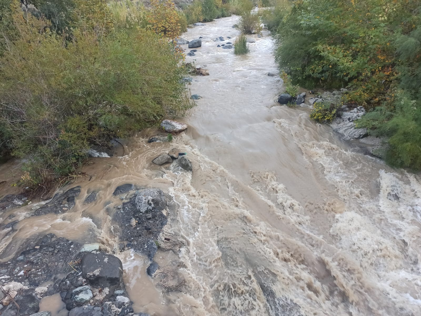 I M G 20251021 W A0044