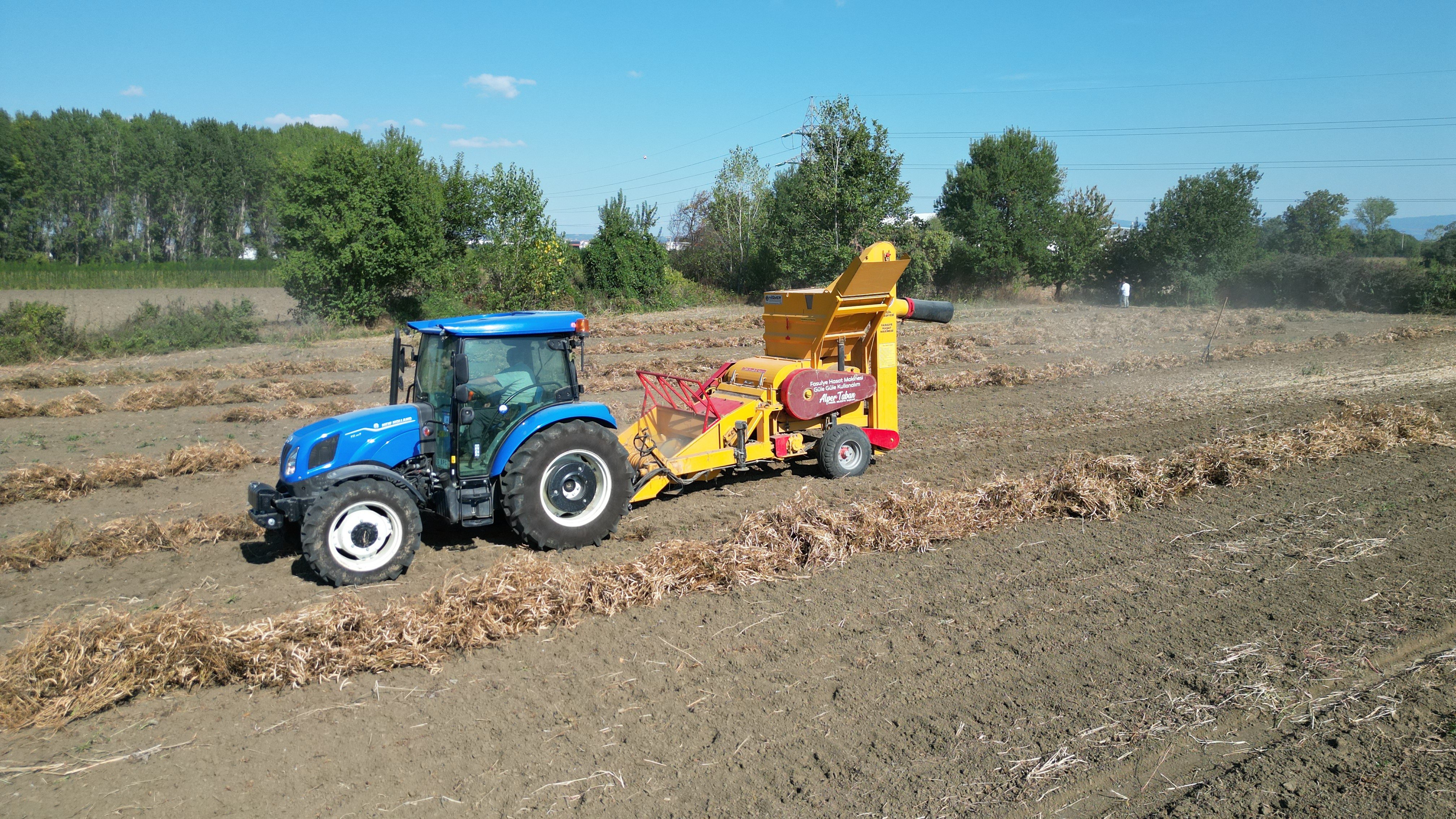 İnegöl Kuru Fasulye Hasadı (2)