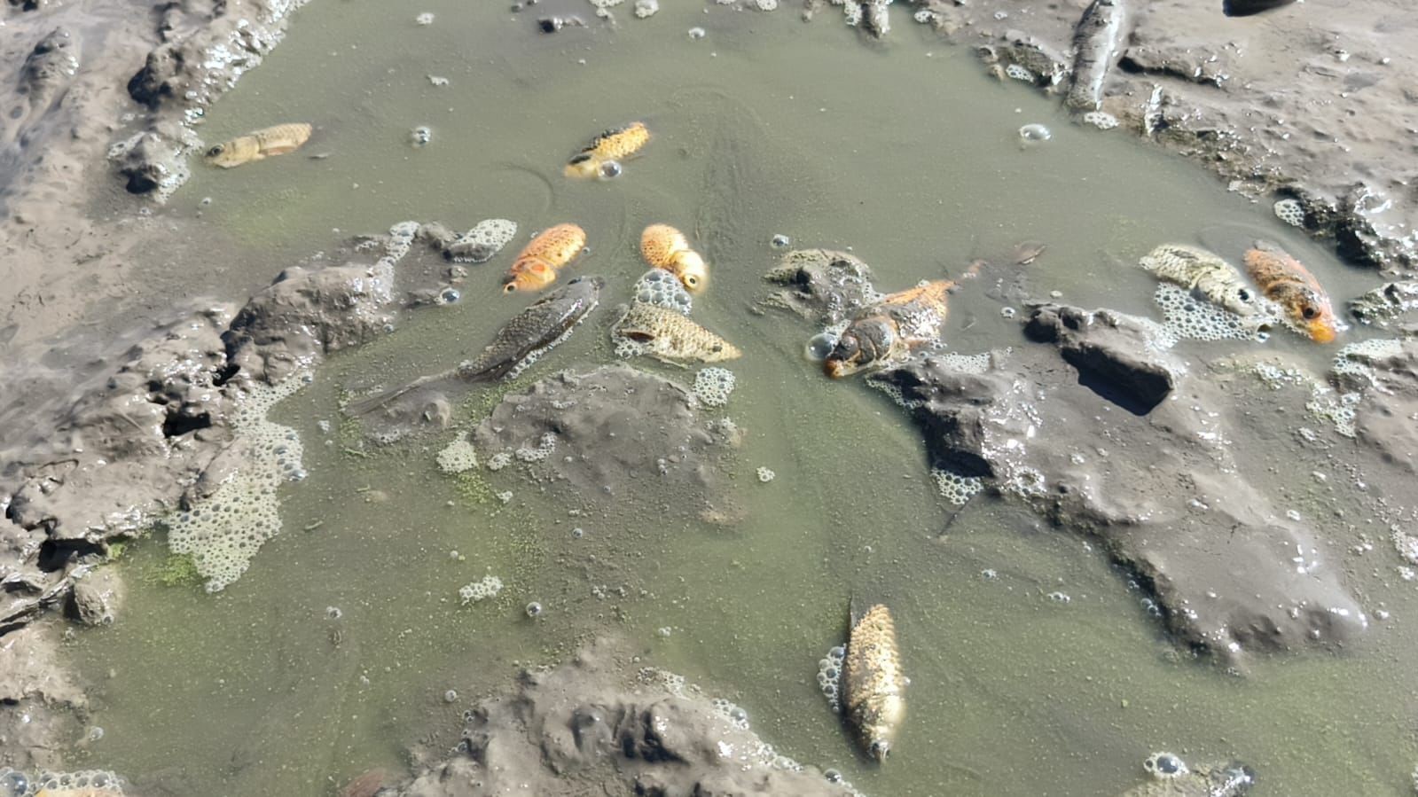 Kuraklık Alarmı (1)