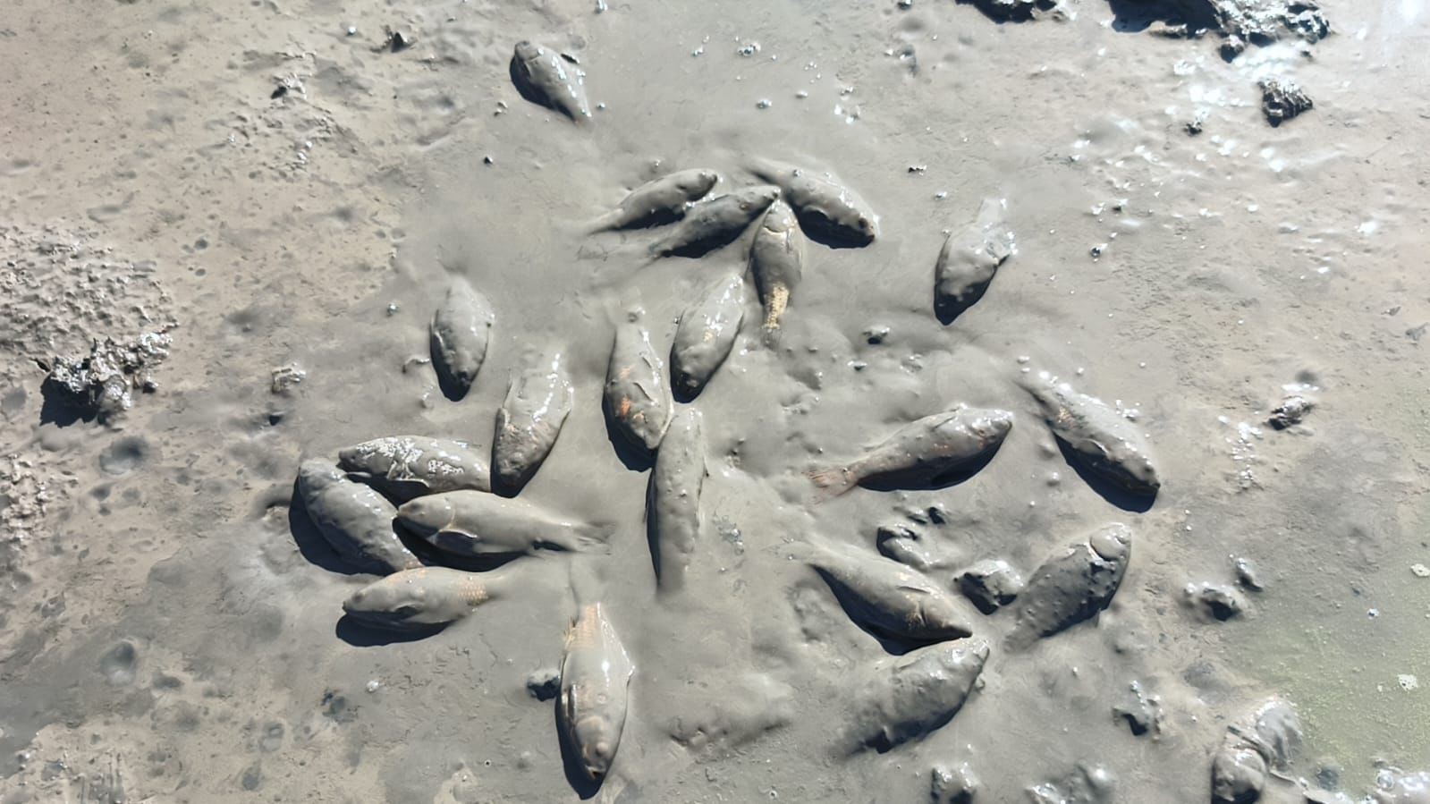 Kuraklık Alarmı (3)