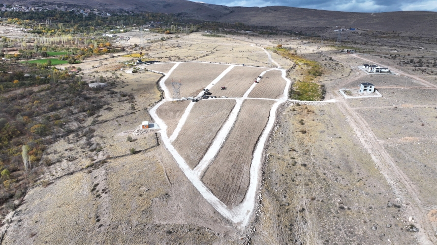 Lavanta Bahçesi (1)