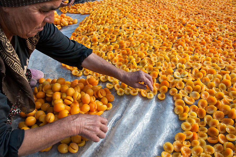 Malatya Mişmiş (1)
