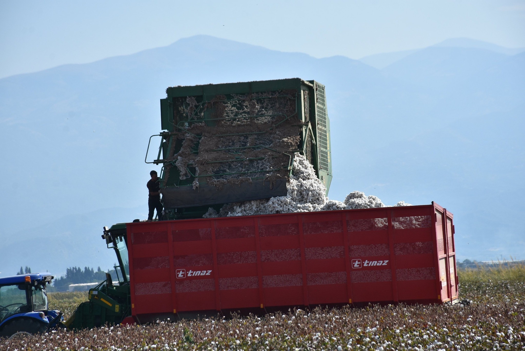 Manisa Salihli Ovası’nda Pamuk Hasadı Başladı (2)